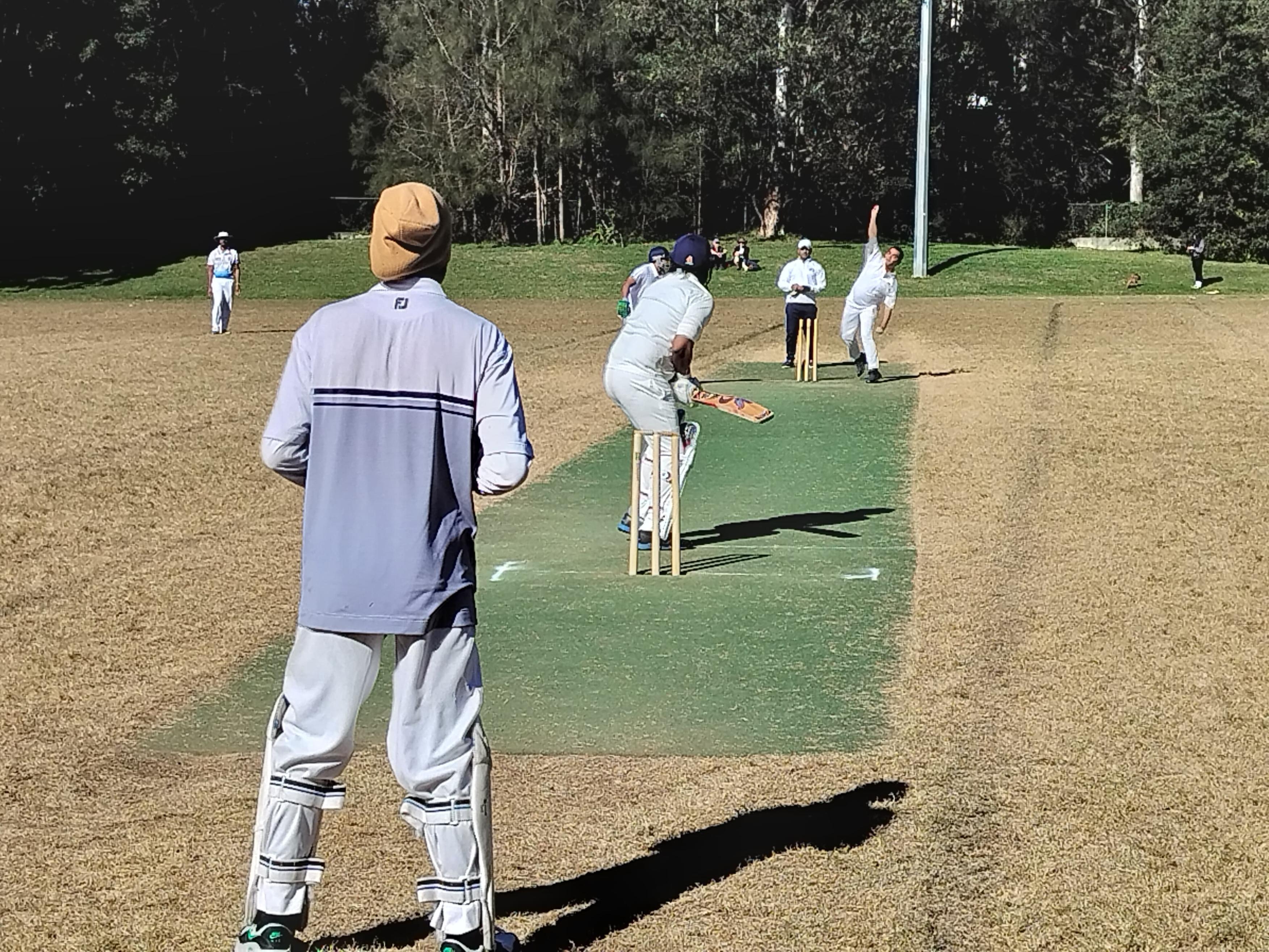 Hornsby Tigers cricket match in action