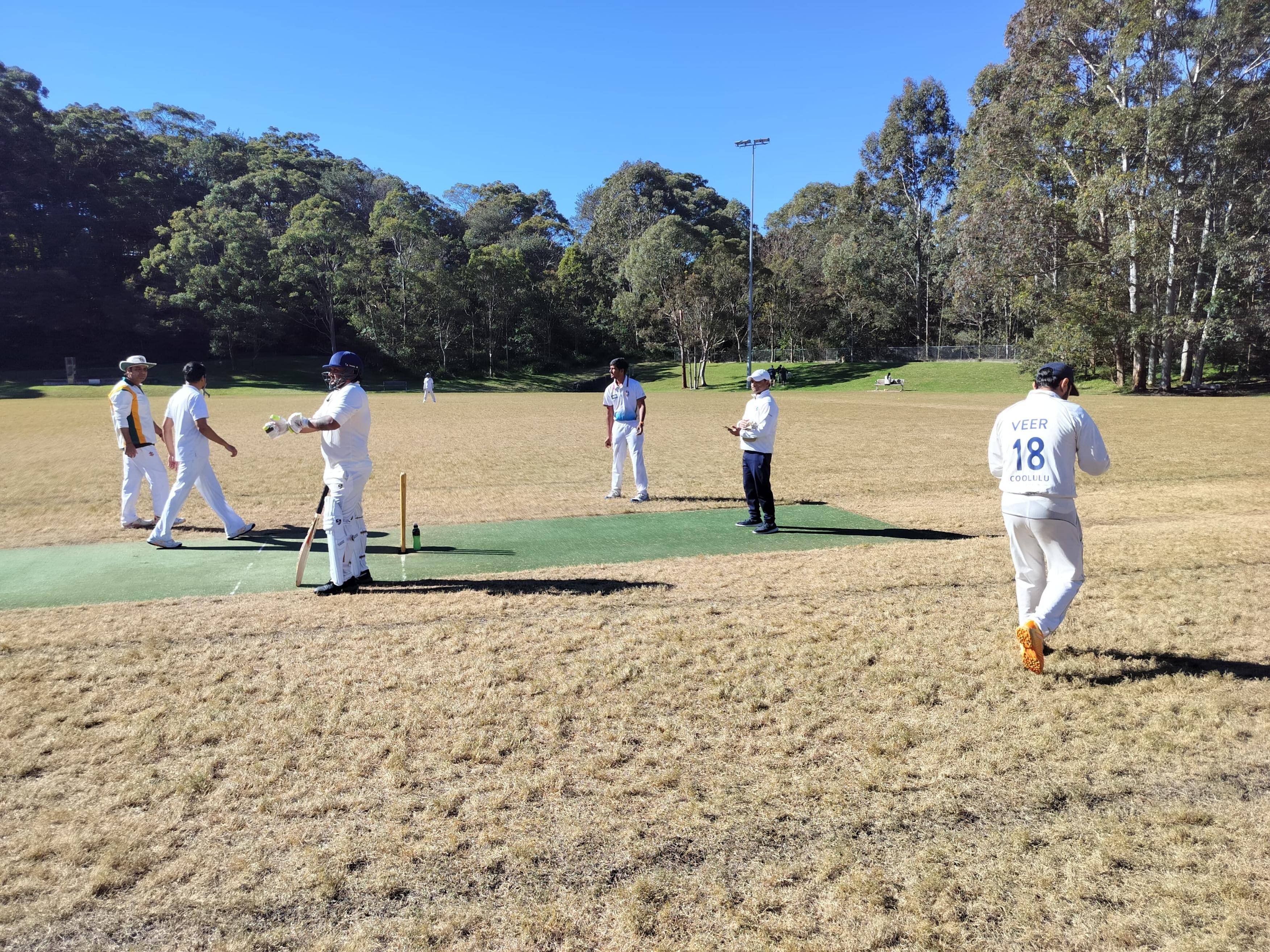 A Hornsby Tigers cricket match in progress on a sunny day